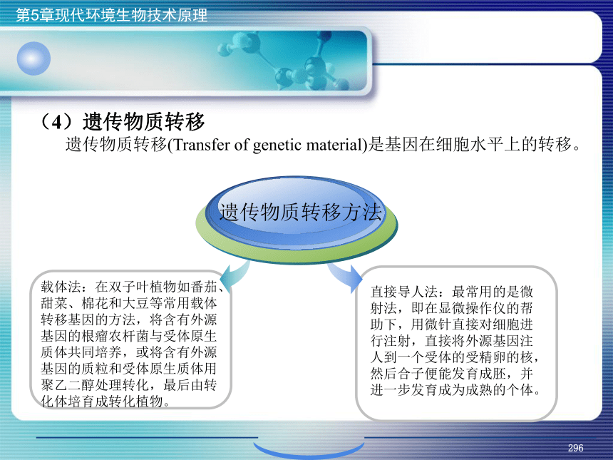 5.现代环境生物技术原理_11 课件(共29张PPT)- 《环境生物化学》同步教学（机工版·2020）