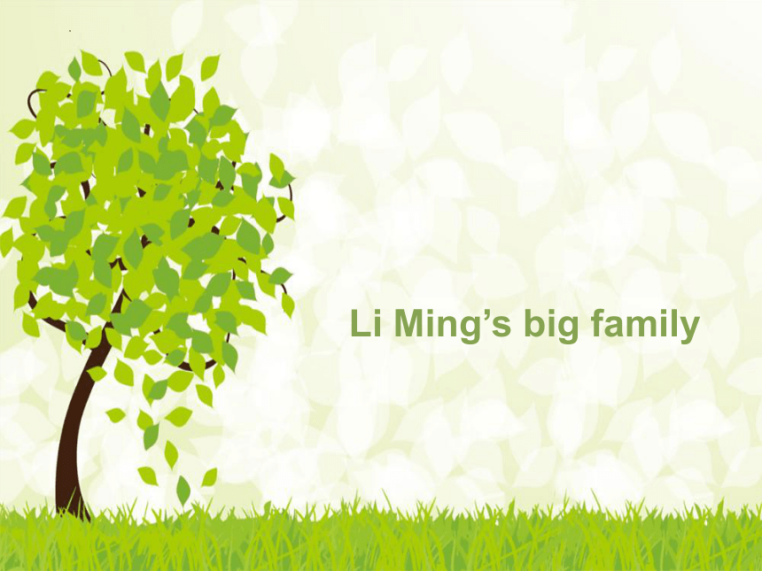 Unit 1 Lesson 1 Li Ming's big family 课件(共15张PPT)
