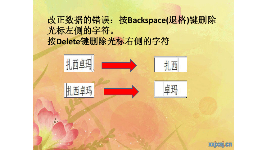 人教版七年级上册信息技术  第三单元第九课（三）编辑与修饰表格教学课件共16张PPT