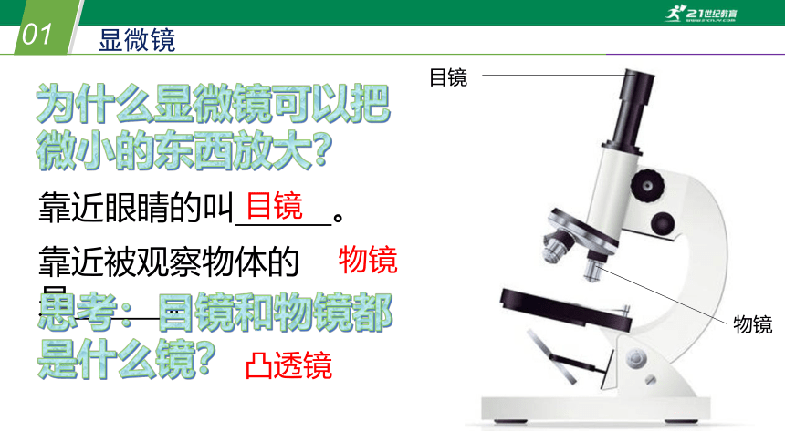 2.3.3 凸透镜成像3（课件 30张PPT）