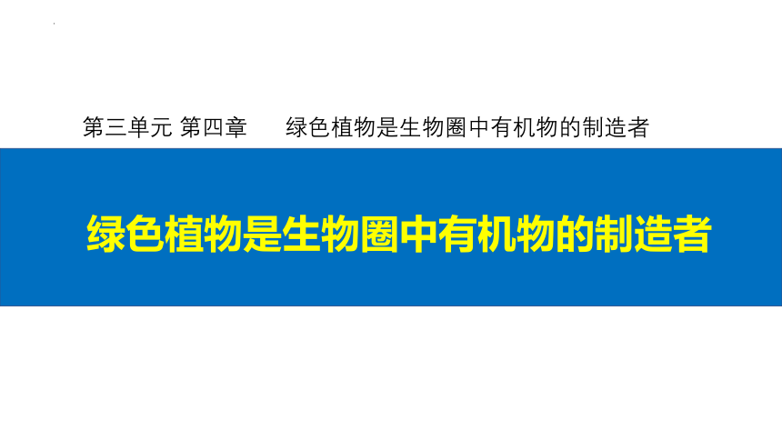 2022-2023学年人教版七年级生物上册 3.4 绿色植物是生物圈中有机物的制造者 课件  (共32张PPT)