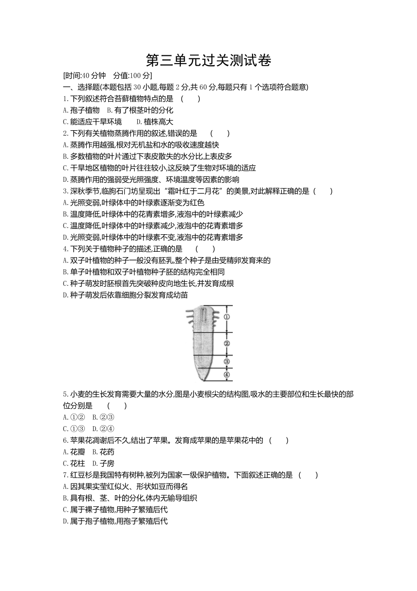 人教版生物七年级上册阶段综合练习：第三单元过关测试卷（word版 含答案）