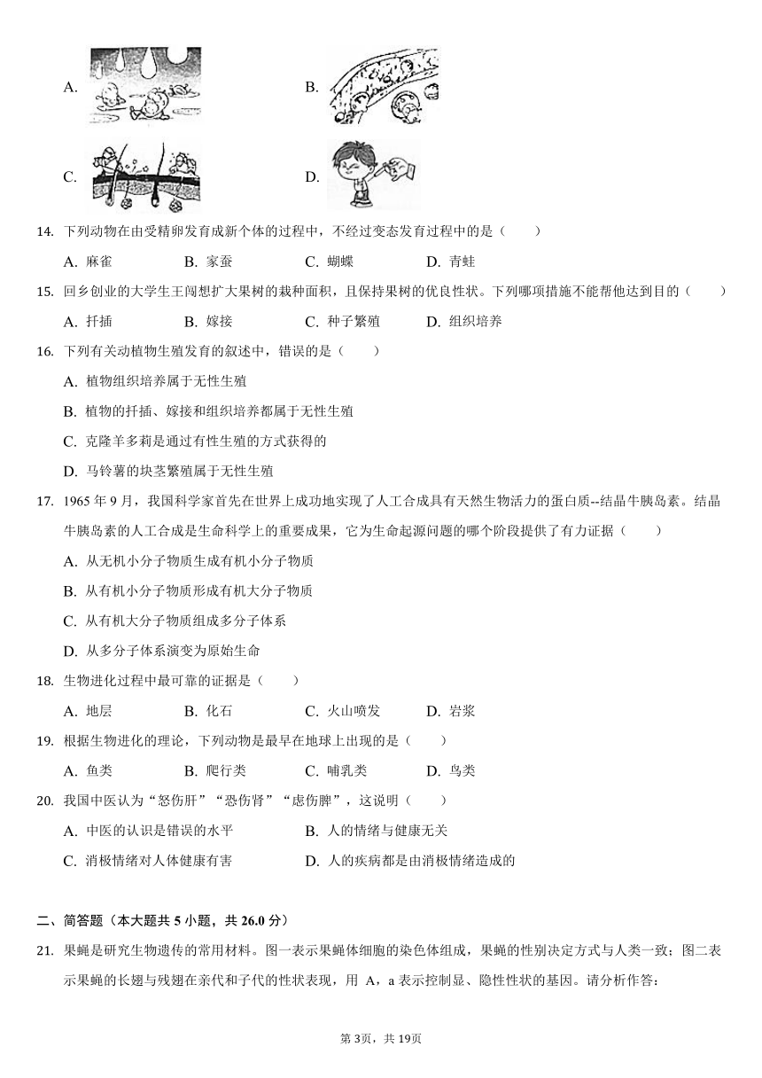 2020-2021学年河南省信阳市淮滨县八年级（下）期末生物试卷（word版，含解析）