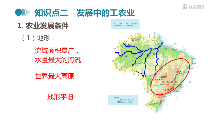 人教版地理七年级下册同步课件：第九章  第二节  巴西   第1课时(共22张PPT)