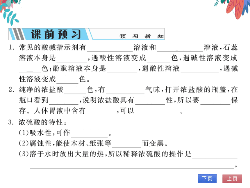 【人教版】化学九年级下册-第十单元 课题1 第1课时 酸碱指示剂几种常见的酸 (习题课件)