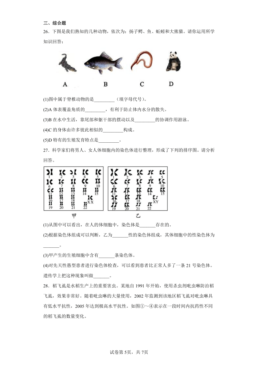 鲁科版生物八年级下册期末检测优化提升训练试题3（含解析）