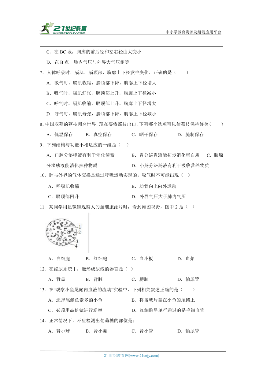 2023-2024年 北师大版 七年级下册生物期末综合训练（含解析）