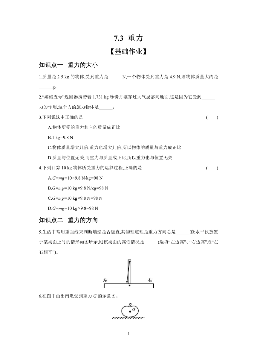 7.3 重力 课时作业（含答案） 2023-2024学年物理人教版八年级下册