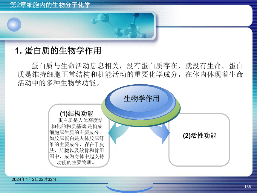 2.4蛋白质化学 课件(共65张PPT)- 《环境生物化学》同步教学（机工版·2020）