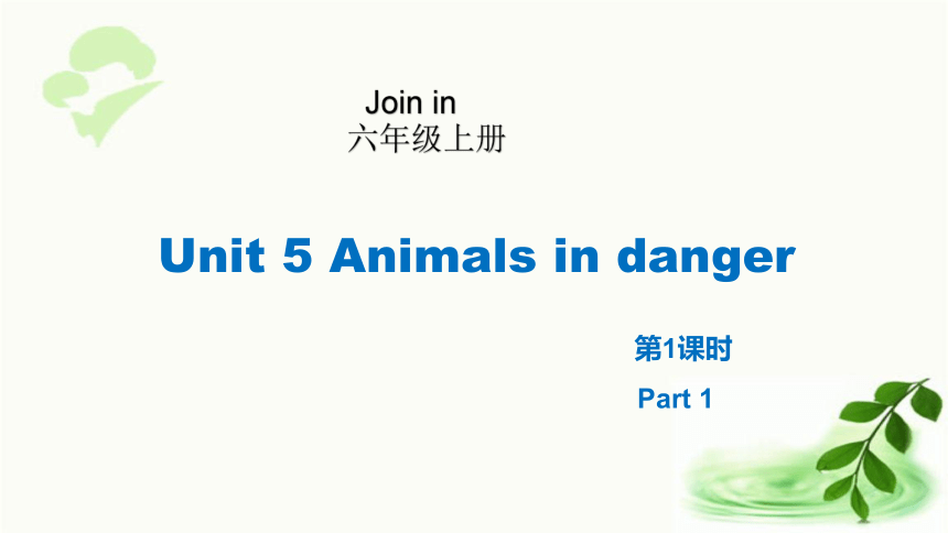 Unit 5 Animals in danger第1课时(1)  课件（27张ppt)