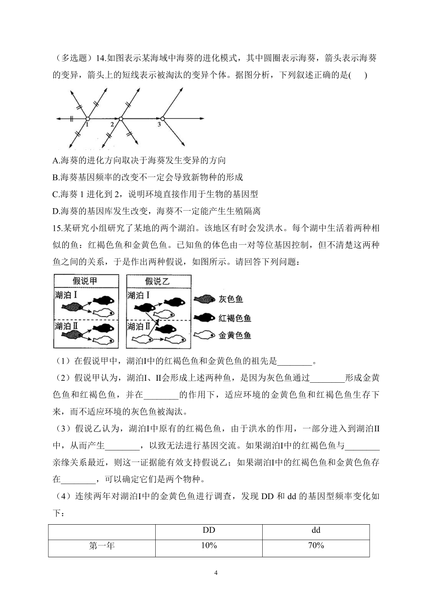 6.3物种形成与生物多样性——2022-2023学年高一生物学北师大版（2019）必修二课时练习（有解析）