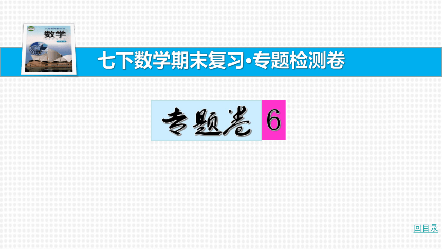 【湘教七下数学期末复习23卷】20.专题卷（六） 平行线中作辅助线的方法及探究性问题 课件（共19张PPT）