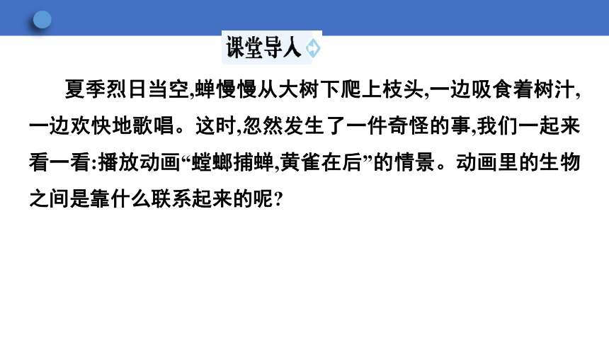 7.2.2 食物链和食物网课件(共24张PPT)2023-2024学年初中生物冀少版八年级下册