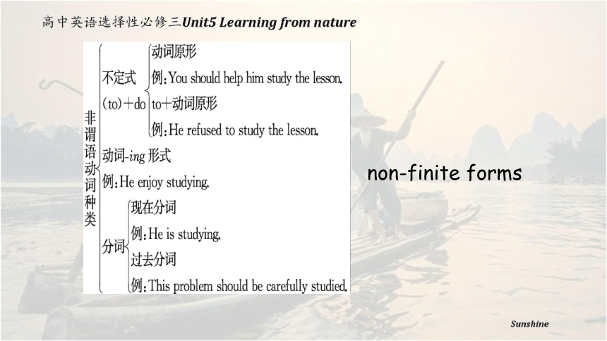 外研版(2019)选择性必修第三册Unit 5 Learning from Nature Using language课件（共27张ppt）