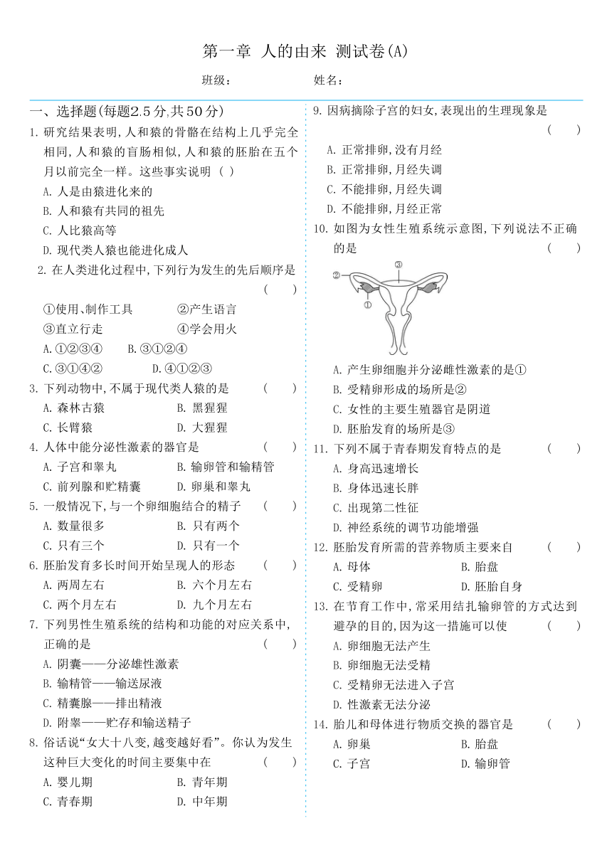 人教版7年级下生物第4单元第一章 人的由来 测试卷(A)（word版，含部分答案解析）