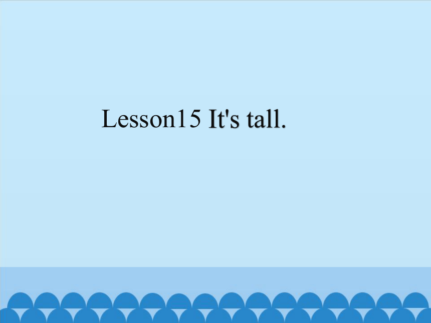 三年级下册英语课件-  Lesson15 It's tall｜接力版 (共14张PPT)