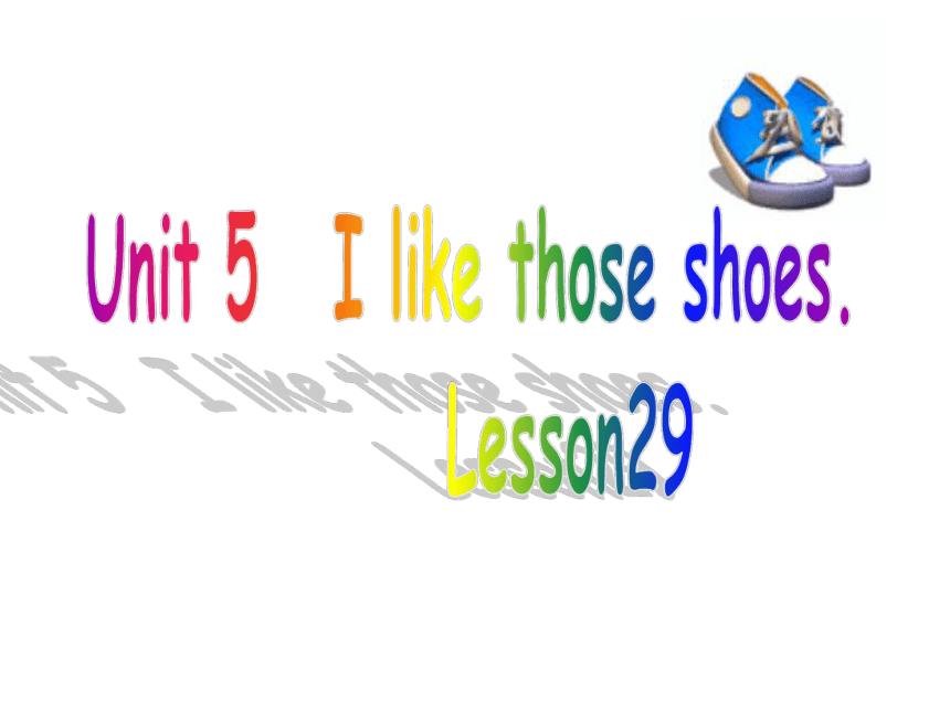 Unit5 I like those shoes.（Lesson29) 课件（17张PPT）