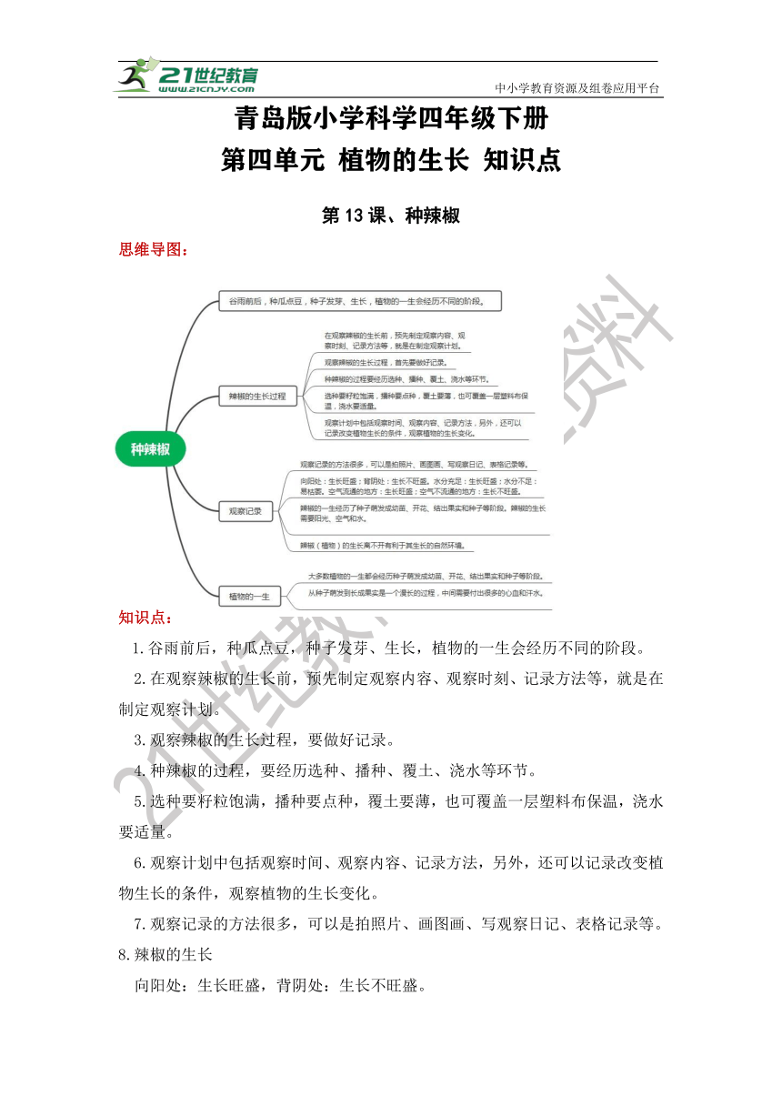 青岛版四年级科学下册第四单元 植物的生长（知识点总结））