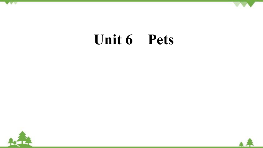 牛津深圳版八年级下册Module 3 Animals Unit 6 Pets 复习课件(共35张PPT)