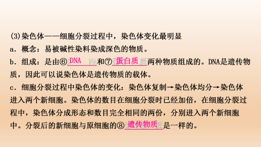 2023年人教版七年级生物上册复习专题★★第二章　细胞怎样构成生物体(共44张PPT)