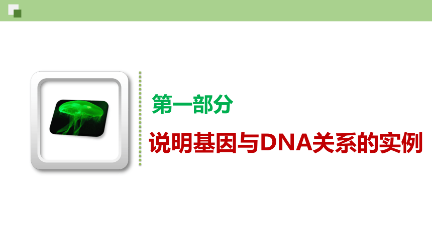 3.4基因通常是有遗传效应的DNA片段课件（共25页ppt）-人教版必修2