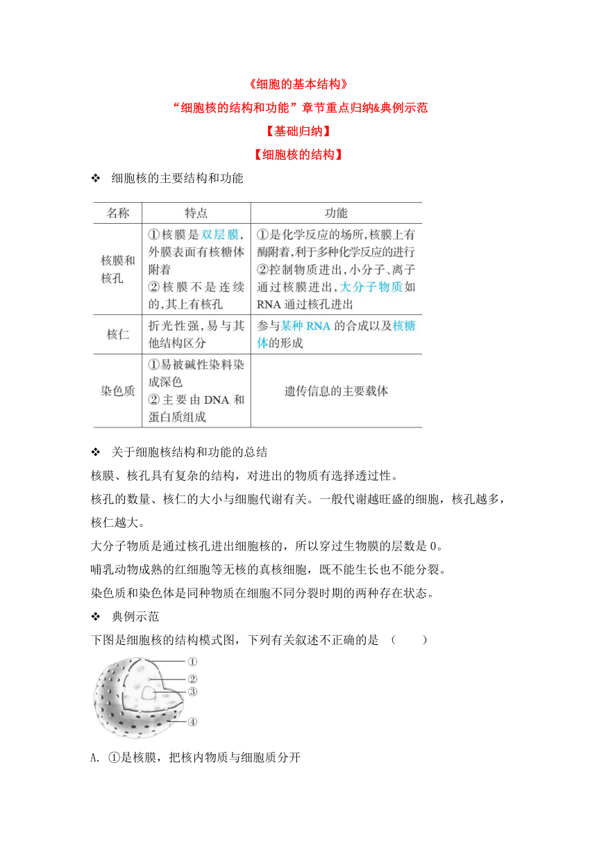 高中生物人教版（2019）必修一备考期末-《细胞的基本结构》-“细胞核的结构和功能”章节重点归纳&典例示范学案（含答案）