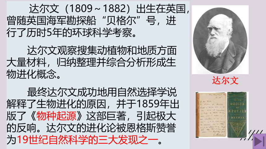 2021--2022学年北师大版生物八年级下册21.2生物进化的原因课件(共25张PPT)