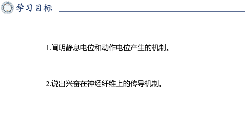 2.3神经冲动的产生和传导（第1课时）(共23张PPT1份视频)课件-人教版选择性必修1