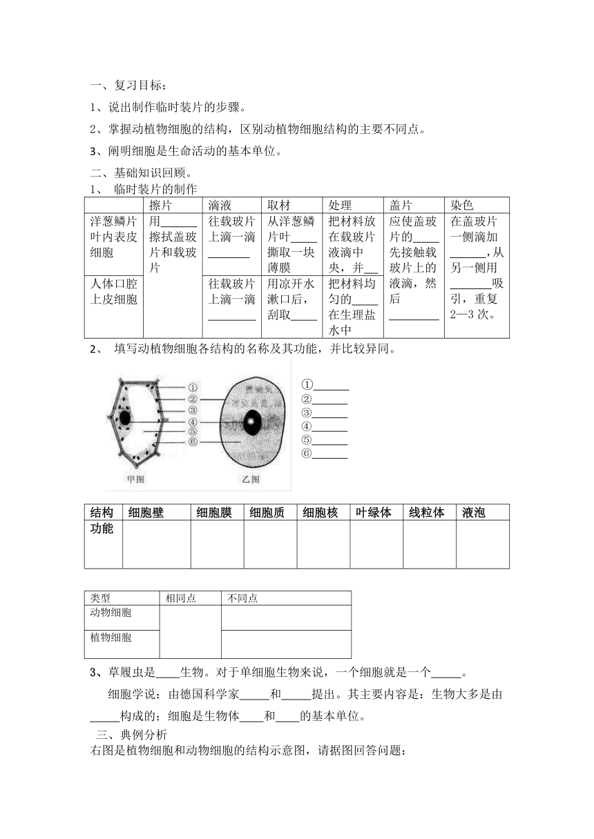 济南版生物七年级上册 1.2.1 细胞的结构和功能 复习学案（无答案）