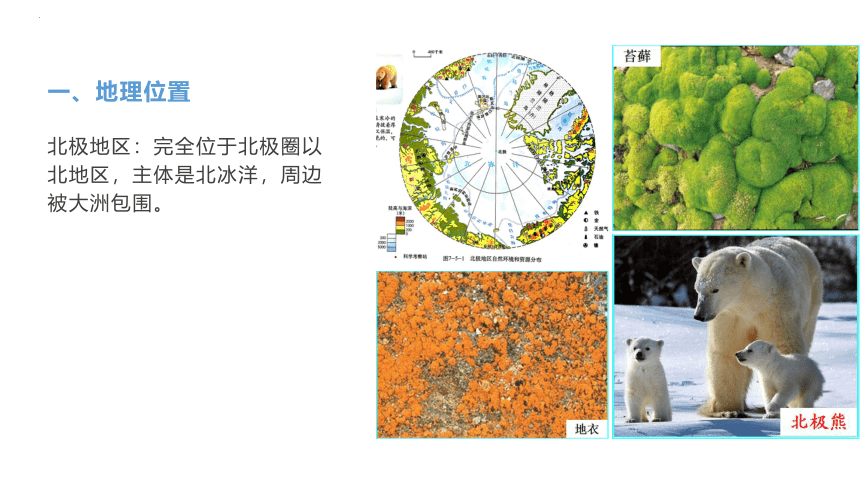 第十章极地地区课件(共19张PPT)2022-2023学年人教版地理七年级下册