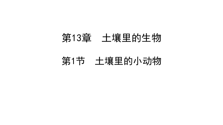 13.1 土壤里的小动物-2022-2023学年七年级生物下册同步精品课堂（苏科版）课件(共34张PPT)