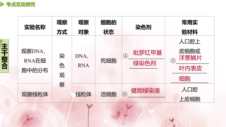 【二轮专题复习课件】第14讲　教材基础实验(共66张PPT)