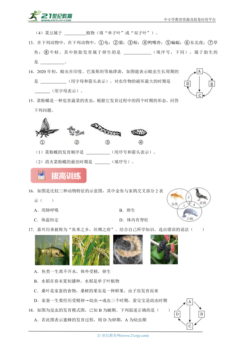 浙教版七下科学期中专题02 动物的生长时期与植物的一生（含答案）