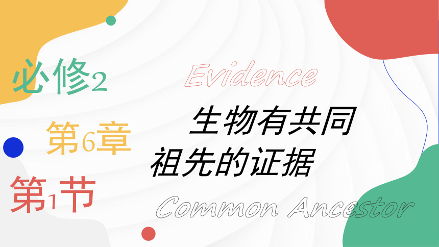 6.1生物有共同祖先的证据 (共21张PPT1份视频)课件2019人教版必修2