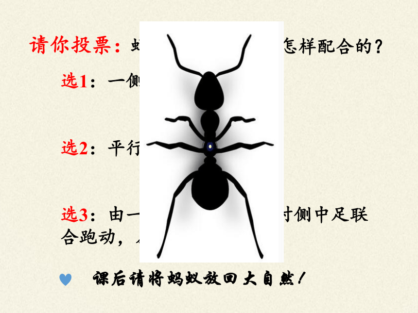 苏教版八年级生物上册 17.2  动物运动依赖于一定的结构 课件（共18张PPT）