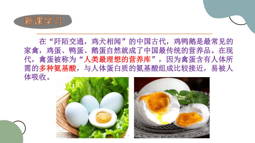 鲁科版六下4.2 食品腌制-淌油红心蛋 课件