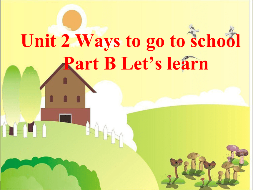 Unit 2 Ways to go to school Part B Let’s learn 课件(共19张PPT)