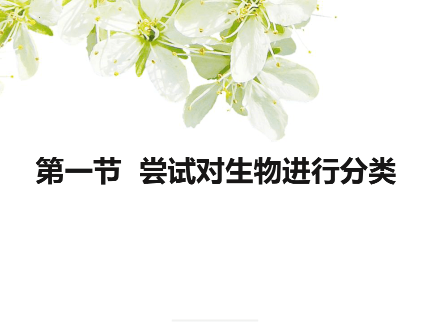 6.1.1尝试对生物分类课件(共25张PPT)2022-2023学年人教版生物八年级上册