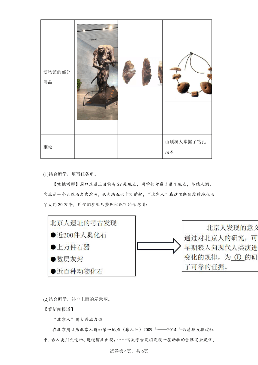 部编版七年级上册第一单元史前时期：中国境内早期人类与文明的起源 同步练习（含解析）