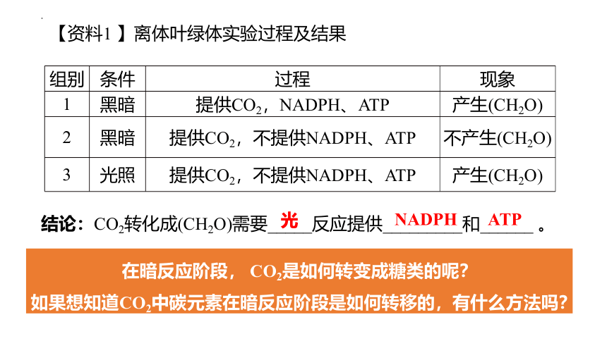 5.4光合作用与能量转化（第二课时）课件(共22张PPT)-人教版必修一