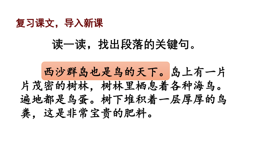 部编版语文三年级上册 第六单元《语文园地六》 第一课时  课件（共17张ppt）