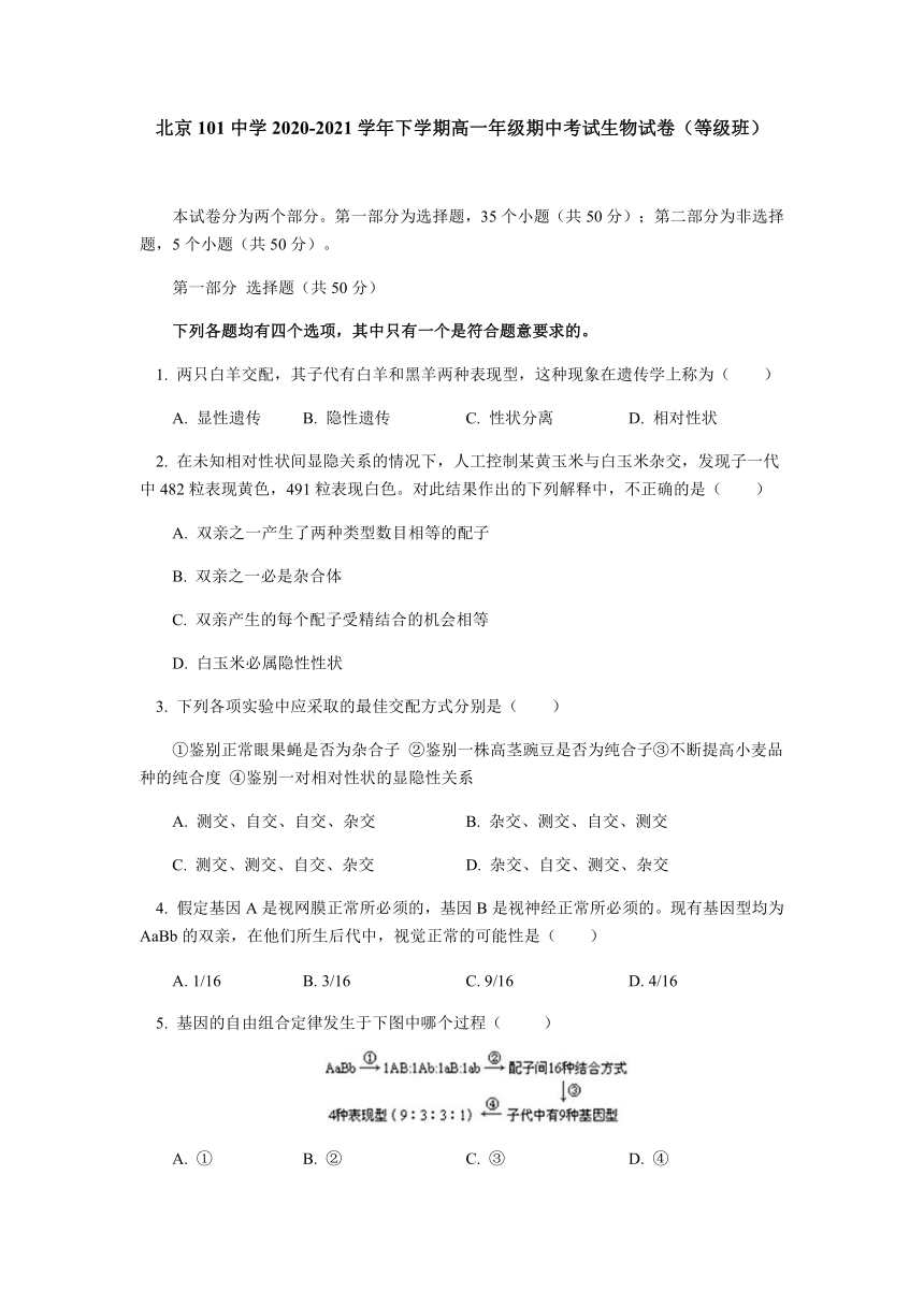 北京101中学2020-2021学年高一下学期期中考试生物试题（等级班）（Word版含答案）