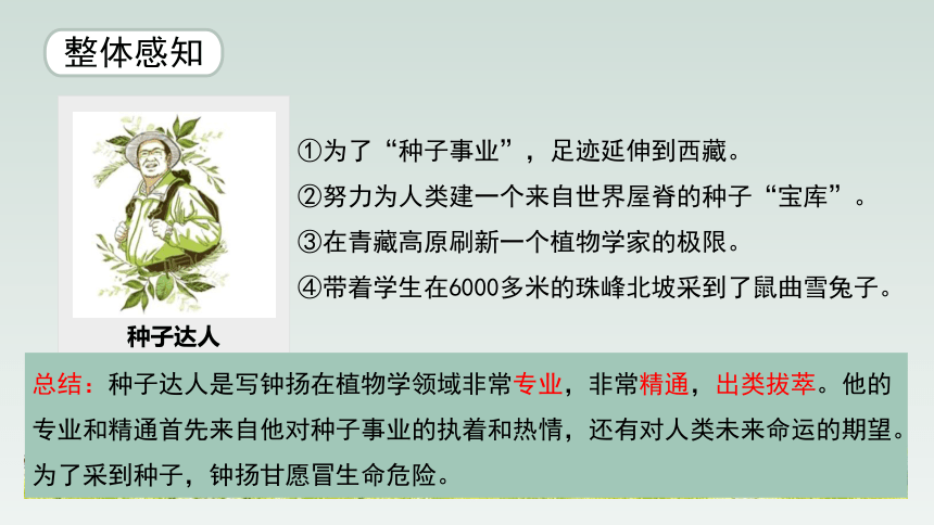 人教版部编（2019）高中语文必修上册 4.3 《“探界者”钟扬》优质教学课件(共26张PPT)