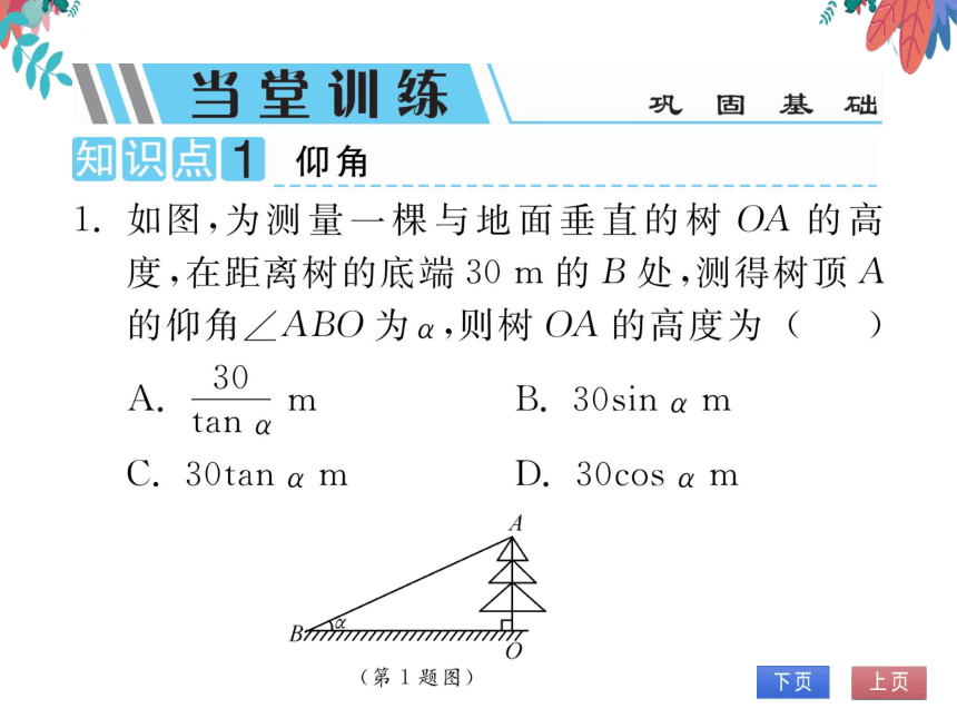 【沪科版】数学九年级上册 23.2 解直角三角形及其应用 第2课时 习题课件