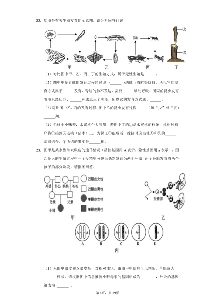 2020-2021学年山西省临汾市翼城县八年级（下）期中生物试卷（word版 含解析）