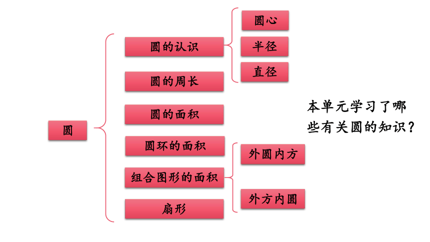 （2022秋季新教材）人教版六年级数学上册5.6 练习十七 课件(共19张PPT)