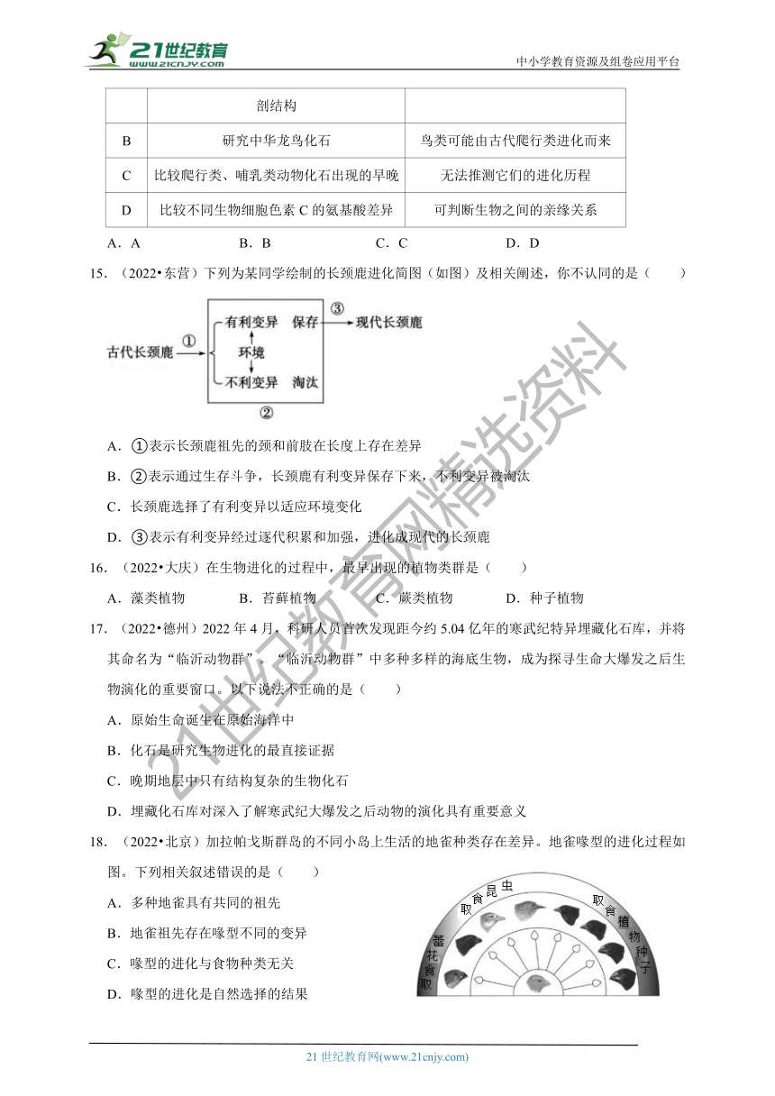 【备考2023】2022年中考生物真题分类汇编15——生物的起源和生物进化部分（含解析）