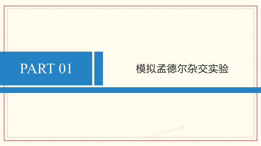 1.2模拟孟德尔杂交实验、两对相对性状的杂交实验及对自由组合现象的解释(共55张PPT)  高中生物 浙科版 必修二