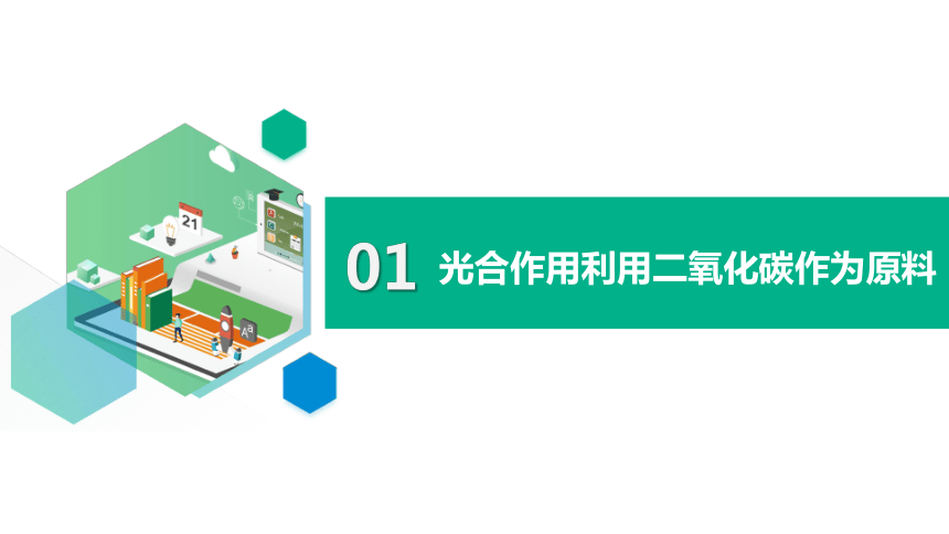 3.5.1 光合作用吸收二氧化碳释放氧气课件(共30张PPT)