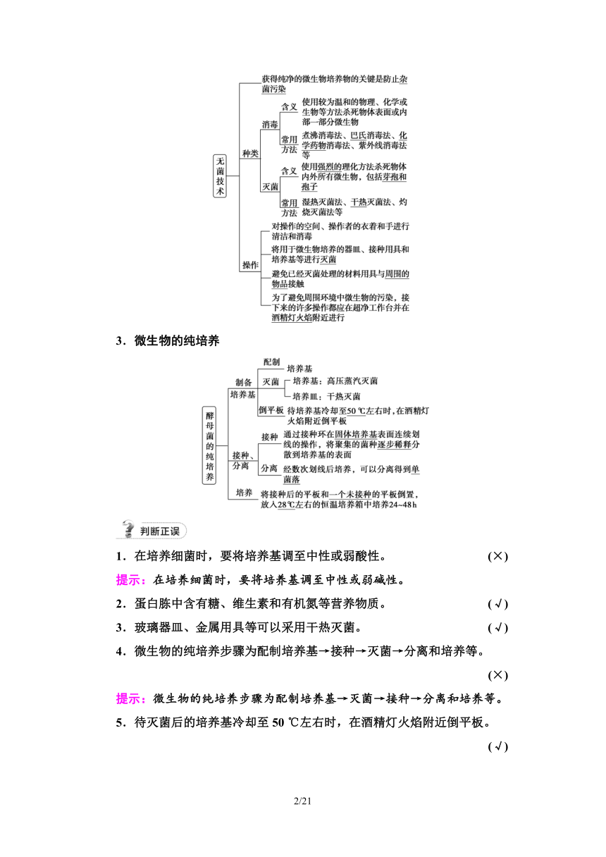 【备考2024】生物高考一轮复习学案：第36讲 微生物的培养技术及应用(含答案）